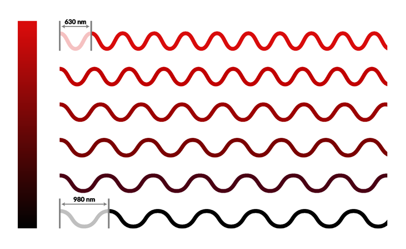 Diagrama de longitudes de onda de la terapia de luz roja.