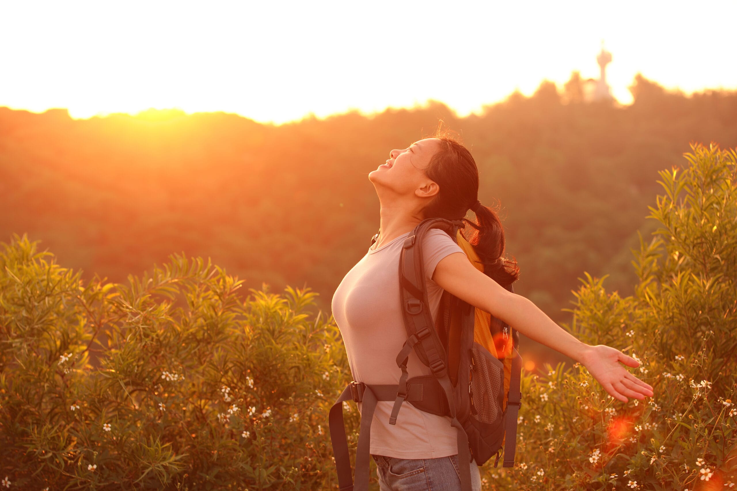 The Synergy of Red Light Therapy and Whole Body Vibration