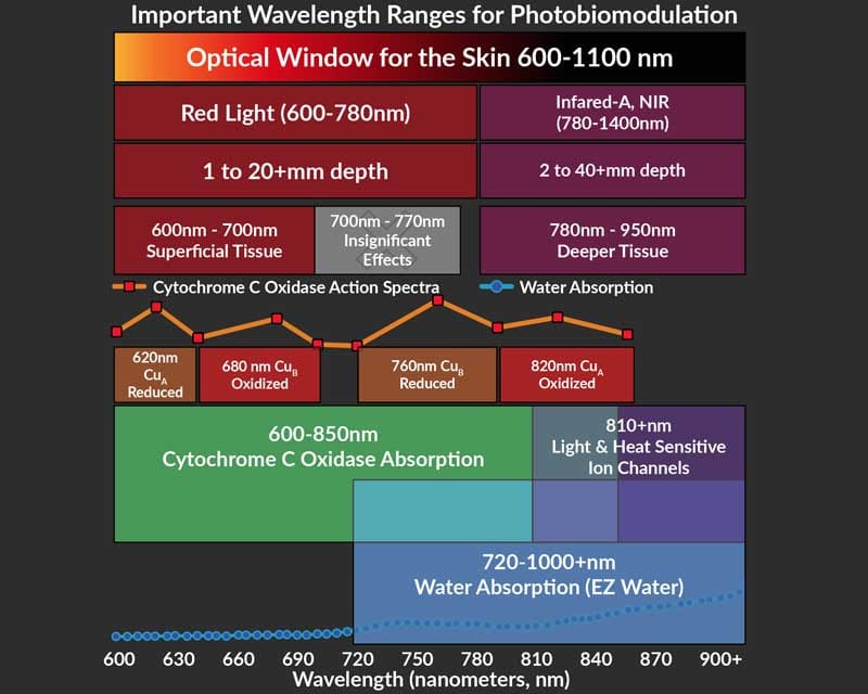 Red Light Therapy Wavelength Ranges
