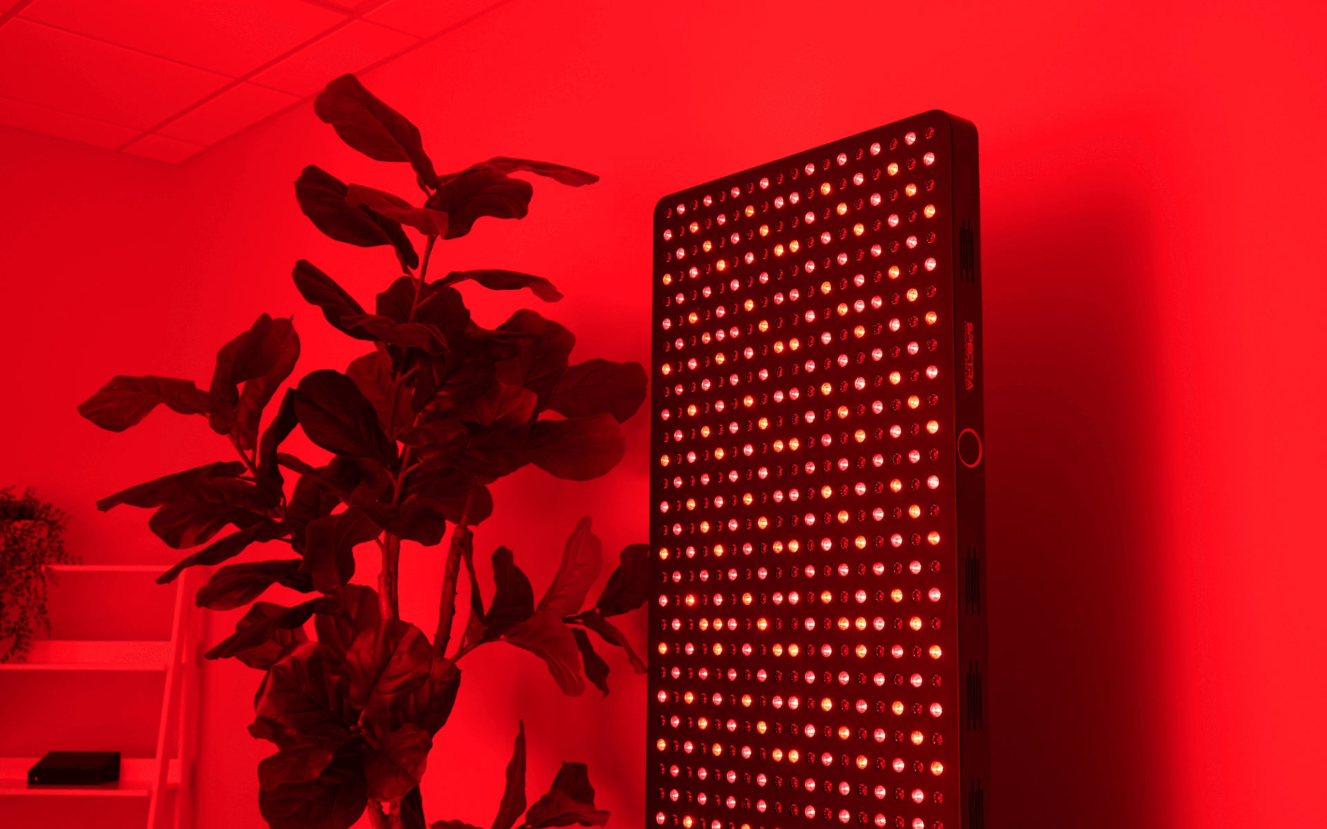S8 red light wall right angle turned on - long